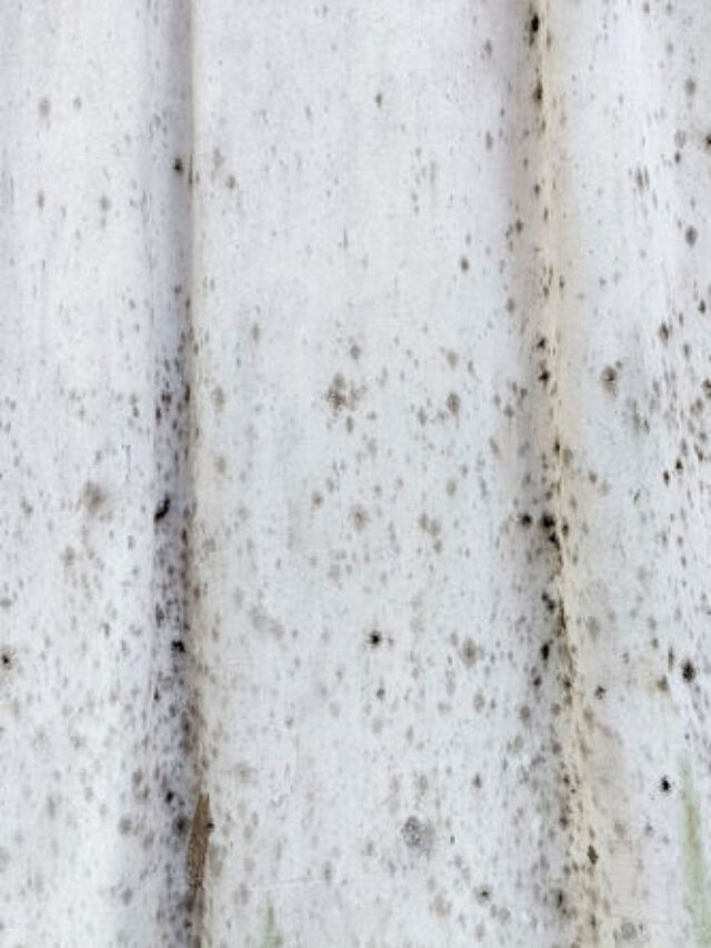 7 Reasons To Wash Your Curtains Daily
