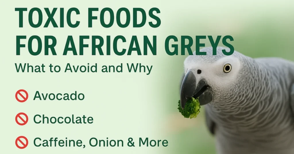 toxic foods for african greys