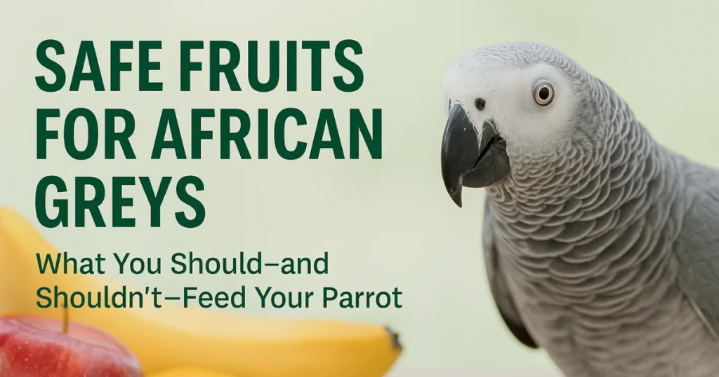 What fruits can African Greys eat